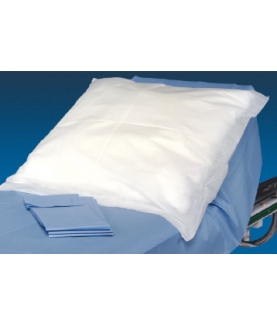 ALÈSE DE PROTECTION ECO
